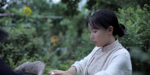 李子柒最新消息爆料视频,揭秘田园生活背后的真实故事